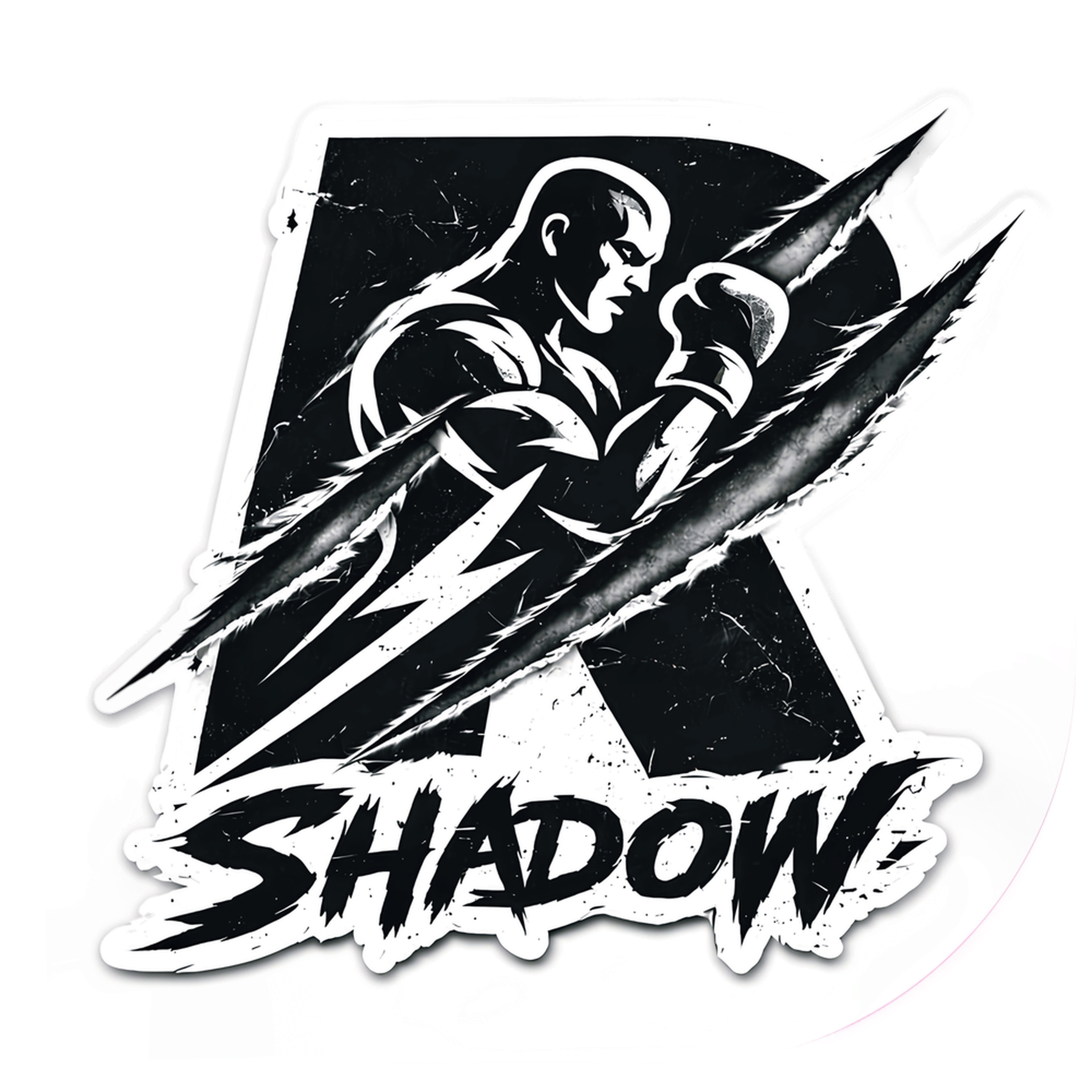 AIRSHADOW Logo